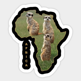 Funny Meerkat - Mongoose - in Africa Sticker